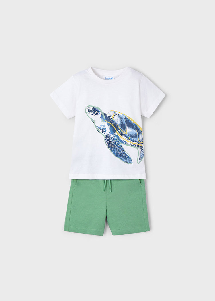 Boy Turtle T-Shirt and Shorts Set ** FINAL SALE**