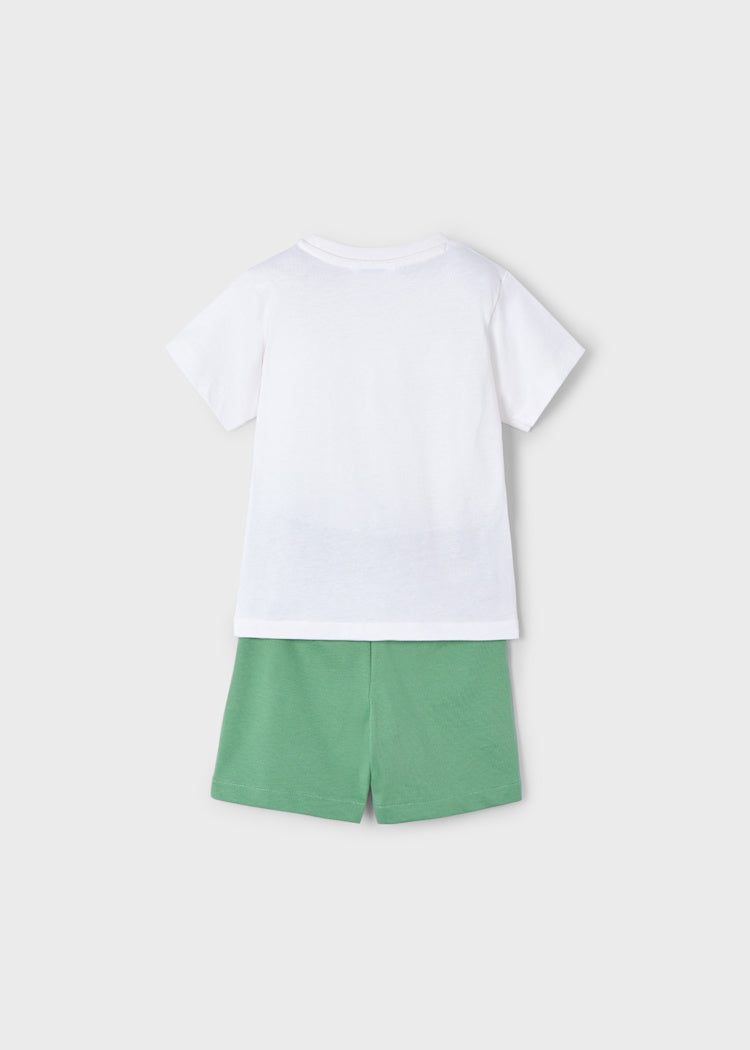 Boy Turtle T-Shirt and Shorts Set ** FINAL SALE**