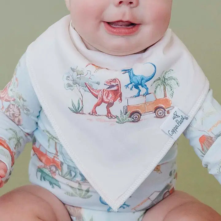 4 Pack Baby Bandana Bibs - Dino Explorer