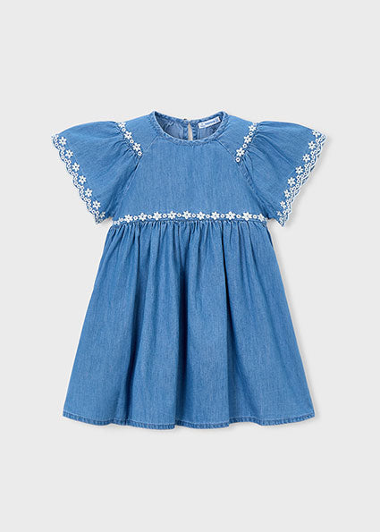 Embroidered Dress | Denim