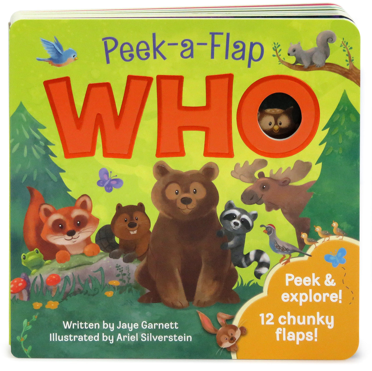 Who Flap Book