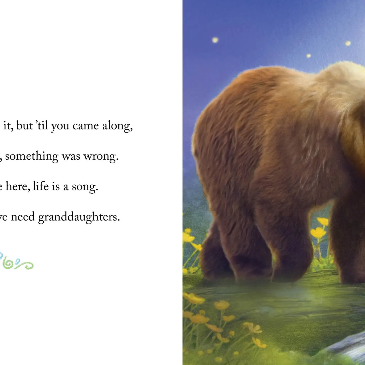 Why We Need Granddaughters Hardcover Book