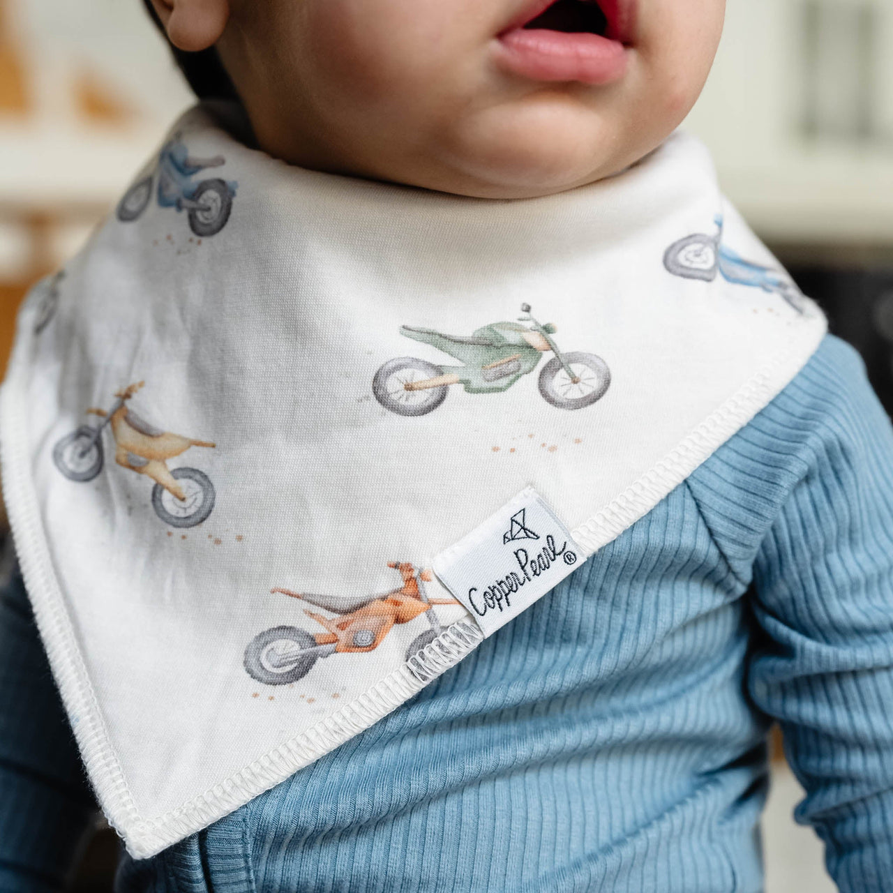 Ryder Bandana Bibs