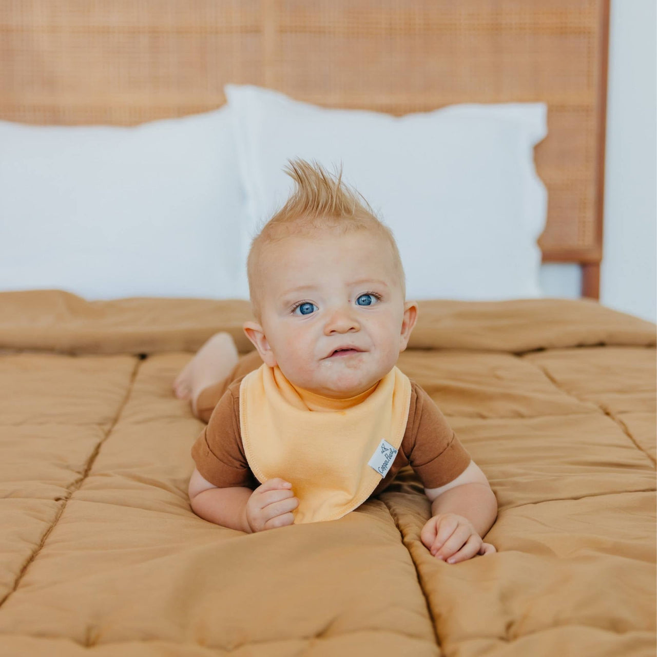 Bennie Bandana Bibs