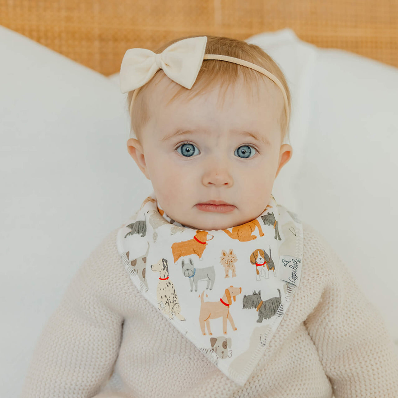Rufus Bandana Bibs