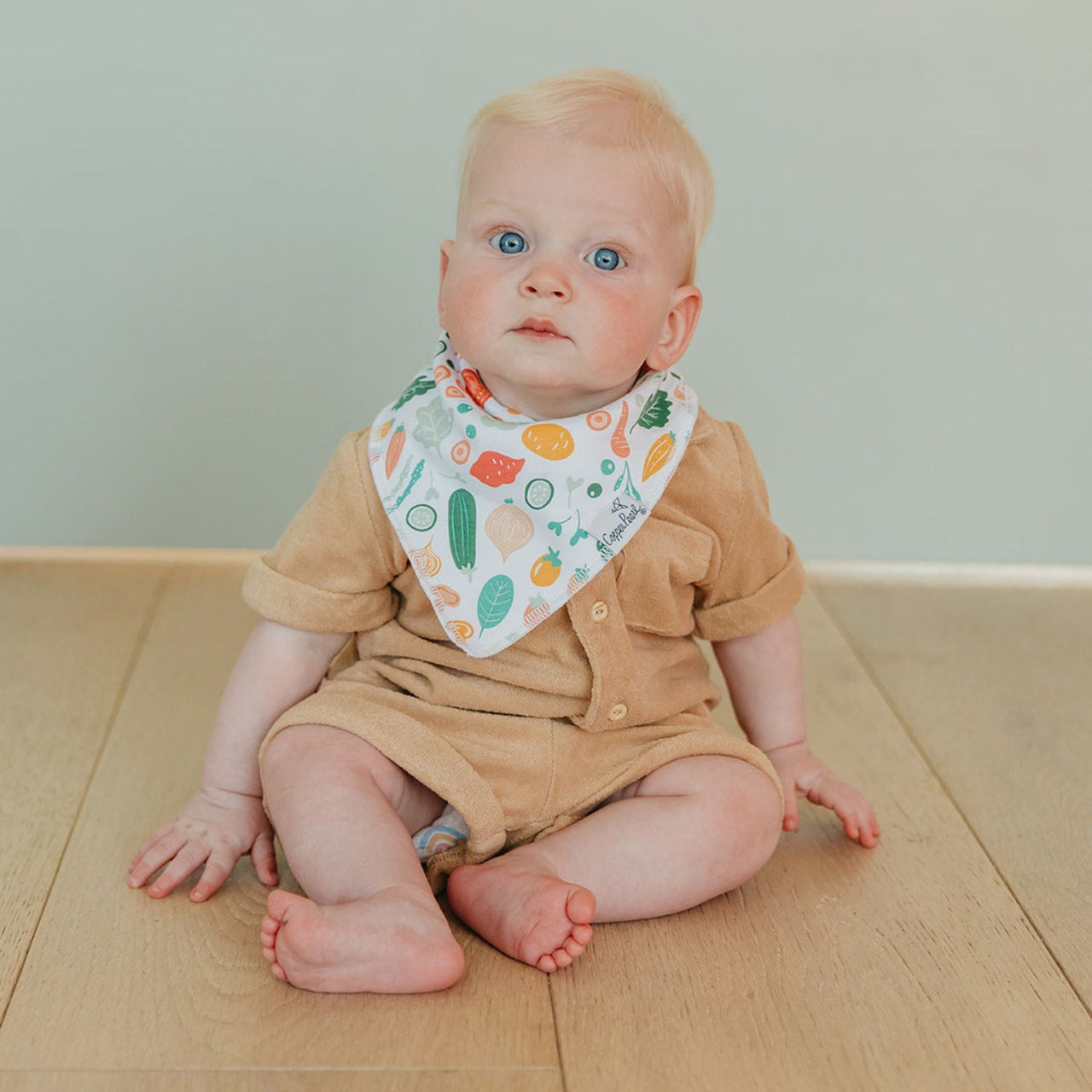 Veggie Bandana Bibs