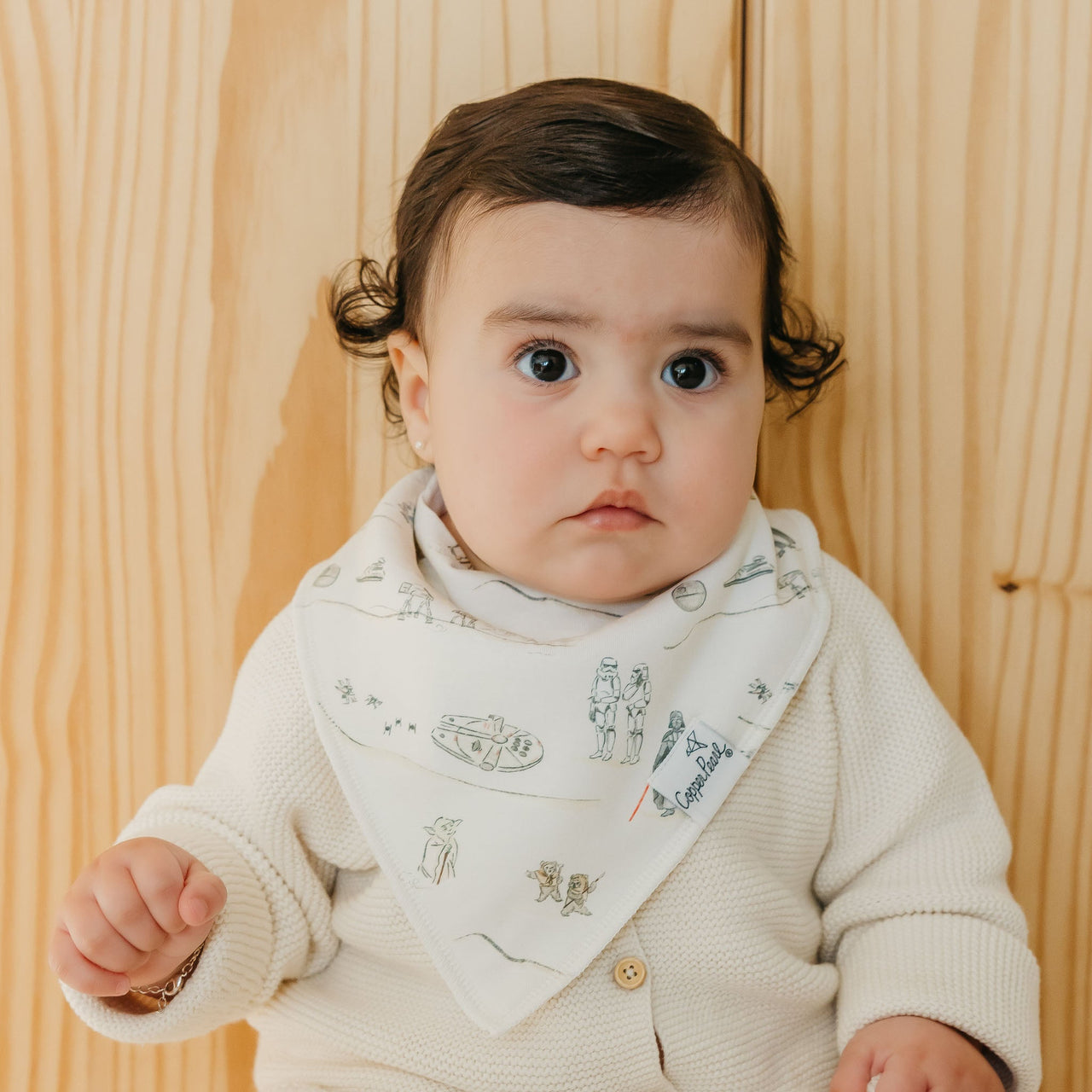 Tatoonie Bandana Bibs