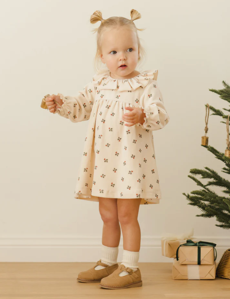 Velour Baby Dress | Holly Berry