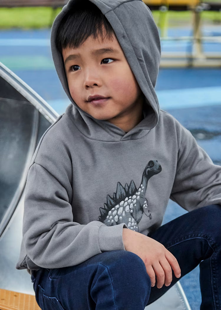 Boy Hooded Dinosaur Sweatshirt | Grey