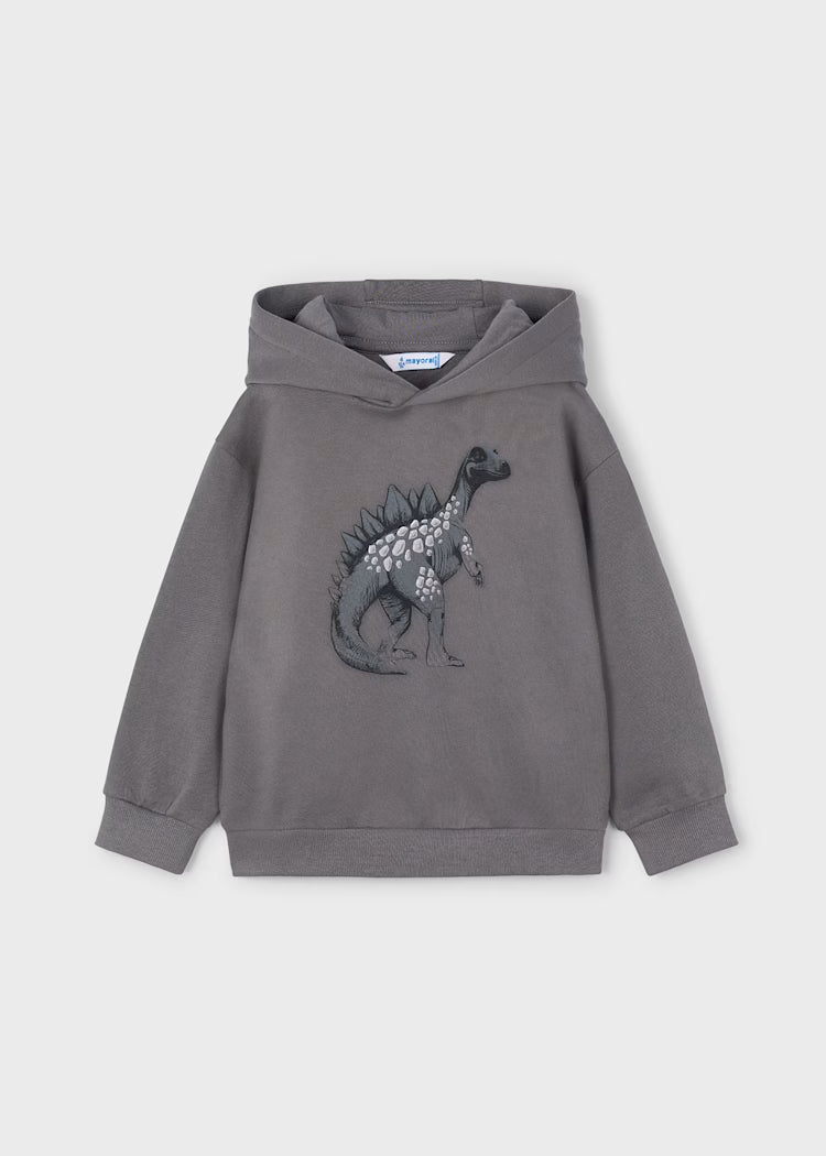 Boy Hooded Dinosaur Sweatshirt | Grey