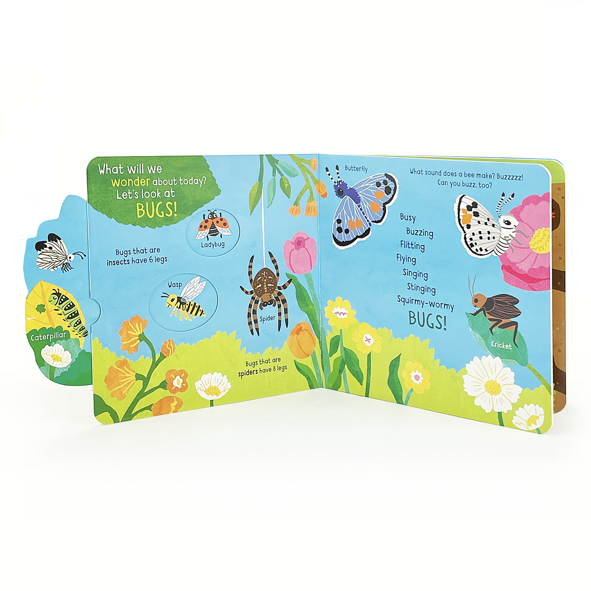 Little Wonders: Bugs   Interactive Board Book