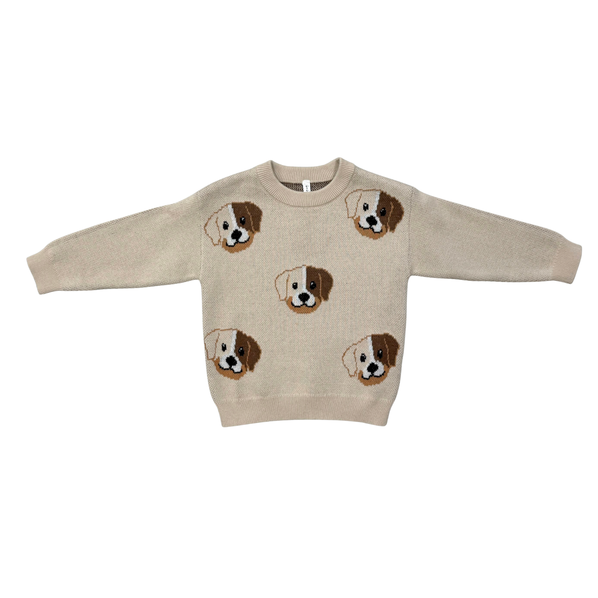 Boy's Knit Sweater | Puppies