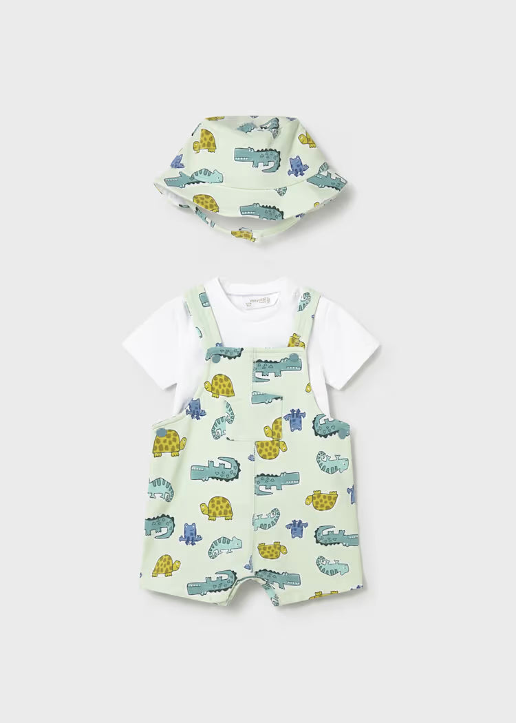 Newborn Boy 3-Piece Overall Set with Hat