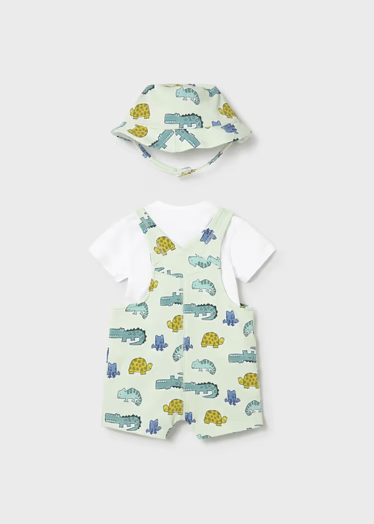 Newborn Boy 3-Piece Overall Set with Hat