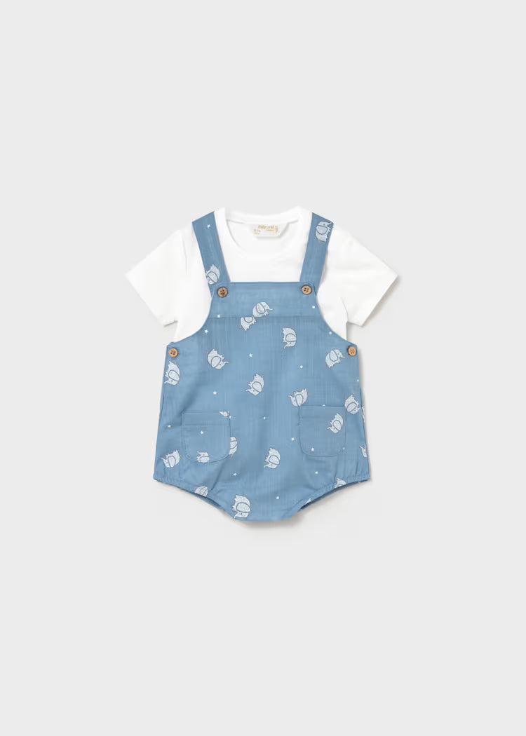Newborn Boy Printed Overall with T-shirt Set | Elephants