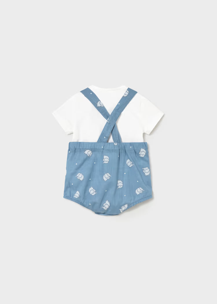 Newborn Boy Printed Overall with T-shirt Set | Elephants