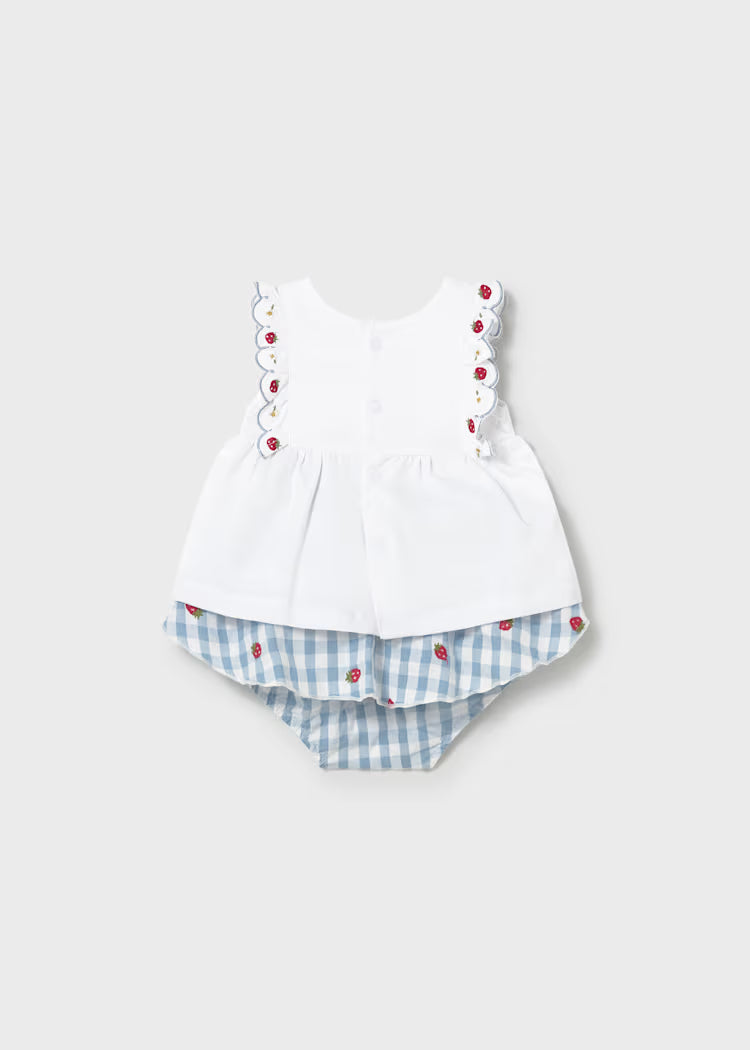 Newborn Girl Gingham Skirt and T-shirt Set