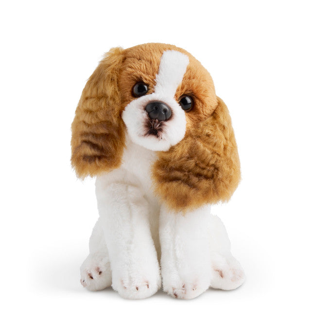 Cavalier King Charles Beanbag