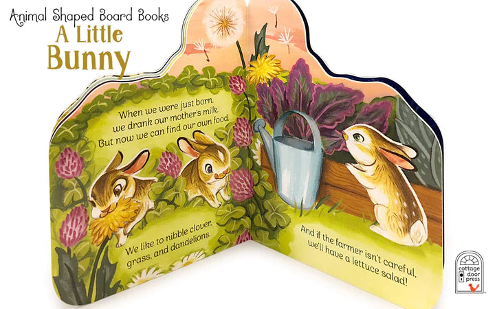 A Little Bunny Book