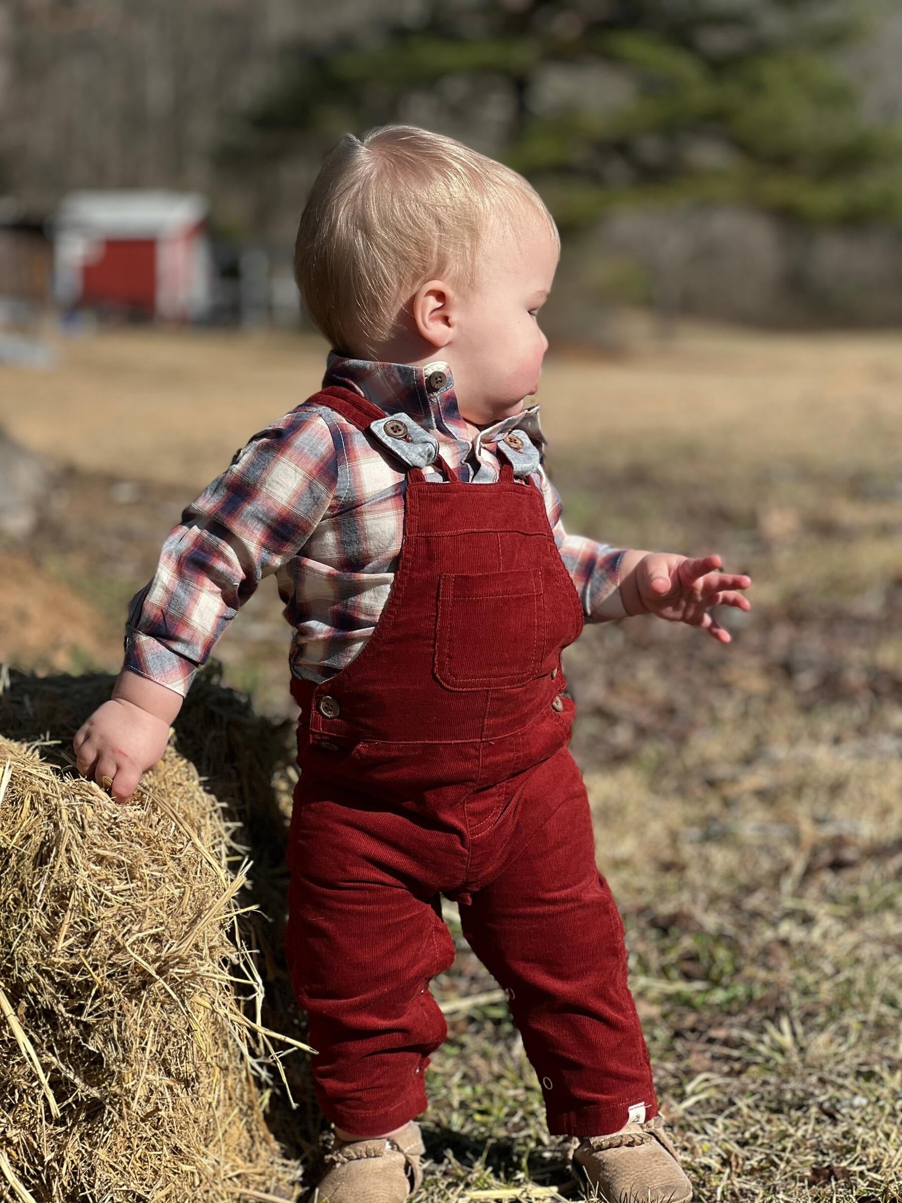 June and jasper sales baby clothes